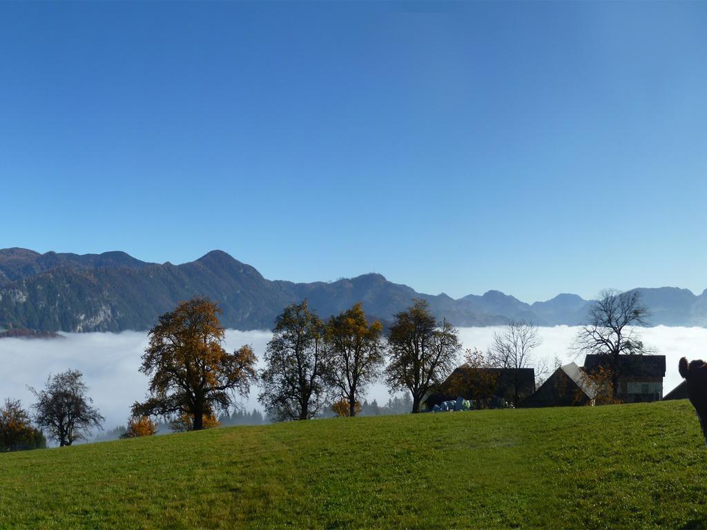 Vila Familienbauernhof Christa Rossleithen Exteriér fotografie